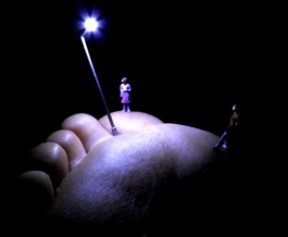 Schöne Aussicht Festival 2021