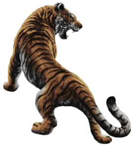 Schöne Aussicht Festival 2022