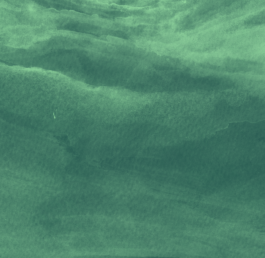 Schöne Aussicht Festival 2022