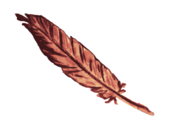 Schöne Aussicht Festival 2022